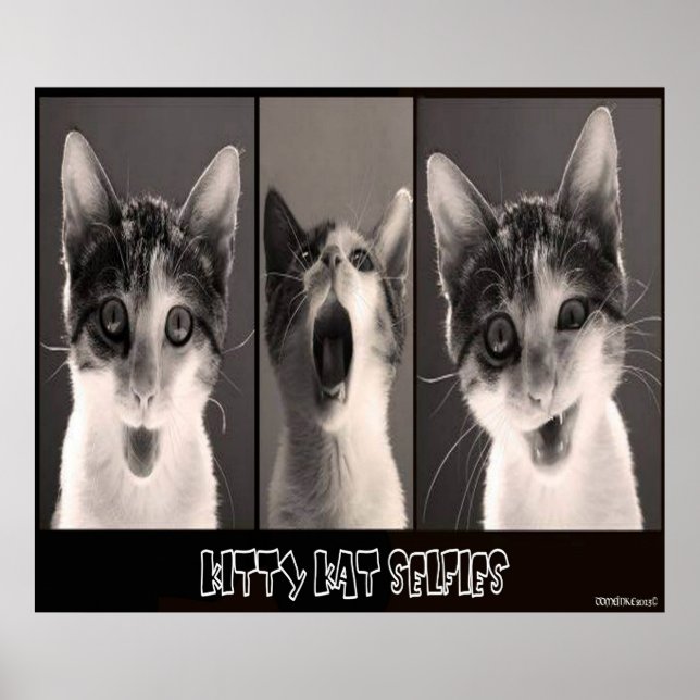 Póster Kitty Kat Selfies Poster (Frente)