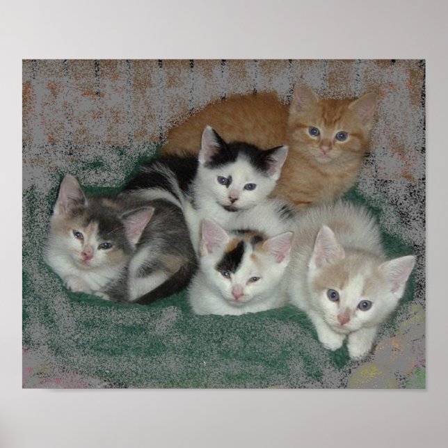 Póster Kitty Love (Frente)