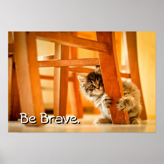 Póster Kitty Under Chair (Frente)