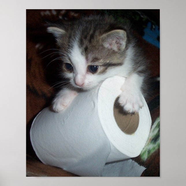 Póster Kittypaper (Frente)