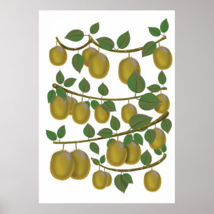 Póster Kiwi Fruit
