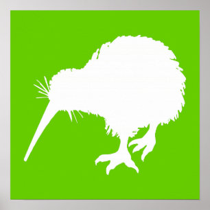 Póster Kiwi verde y blanco