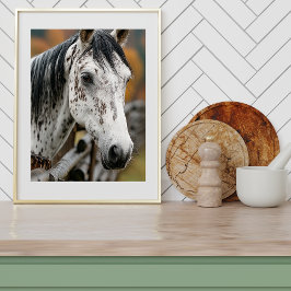 Póster Knabstrupper