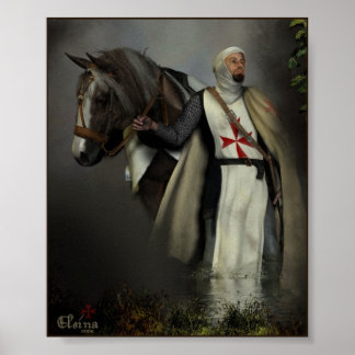 Póster Knight Templar