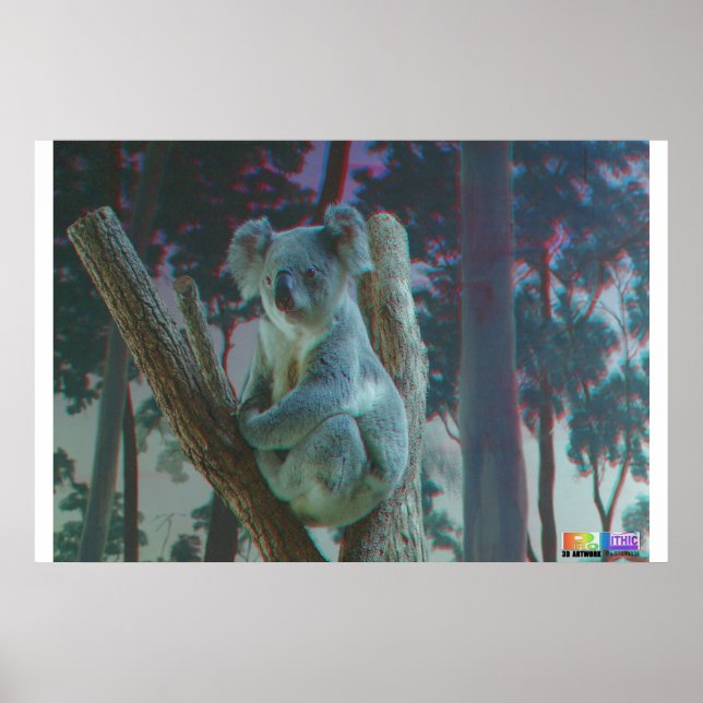 Póster Koala 3D Anaglyph (Frente)