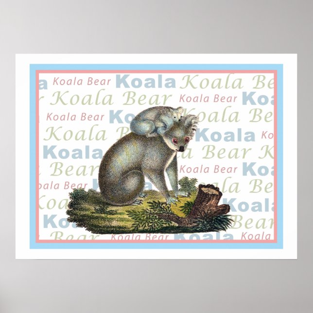 Póster Koala Bear y Baby Poster (Frente)