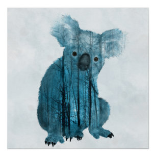 Póster Koala brumosa australiana del bosque