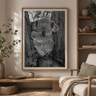 Póster Koala Durmiente Fauna Australiana
