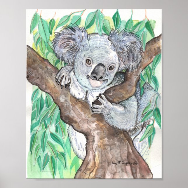 Póster Koala en pintura de árboles de eucalipto (Frente)