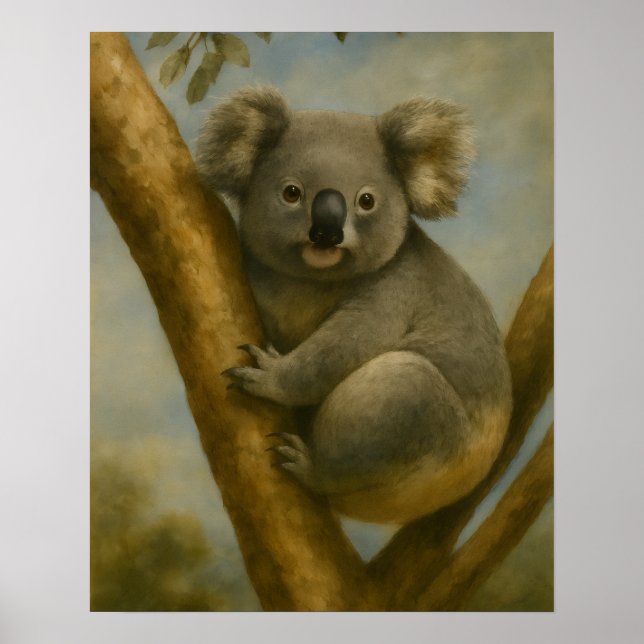 Póster Koala en una luz tranquila (Frente)