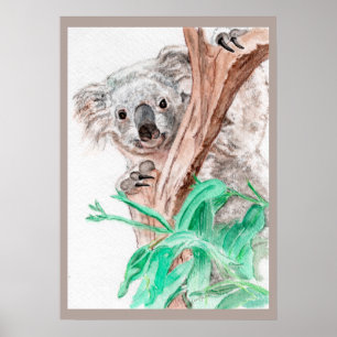 Póster Koala, Peek-a-Boo