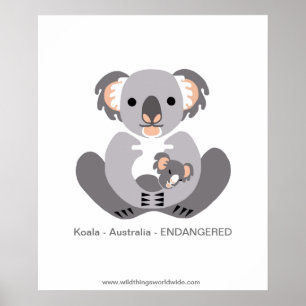 Póster Koala - poster
