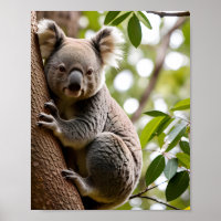 Koala subiendo un árbol