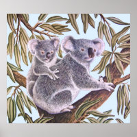 Koala y el bebé en el árbol Eucalyptus