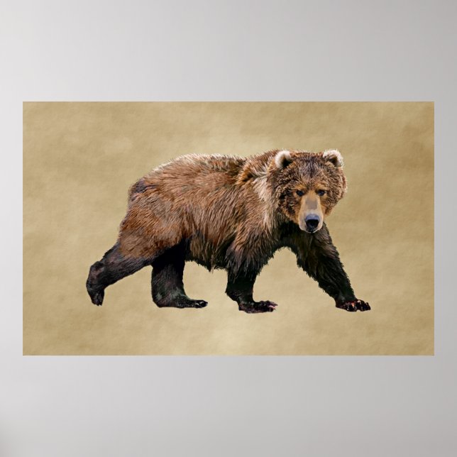 Póster Kodiak Bear (Frente)