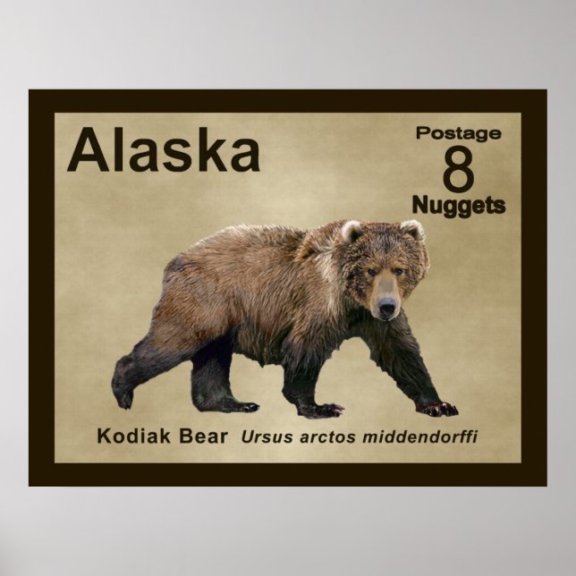 Póster Kodiak Bear (Frente)