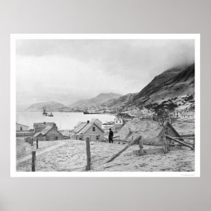 Póster Kodiak, panorama 1909 de Alaska