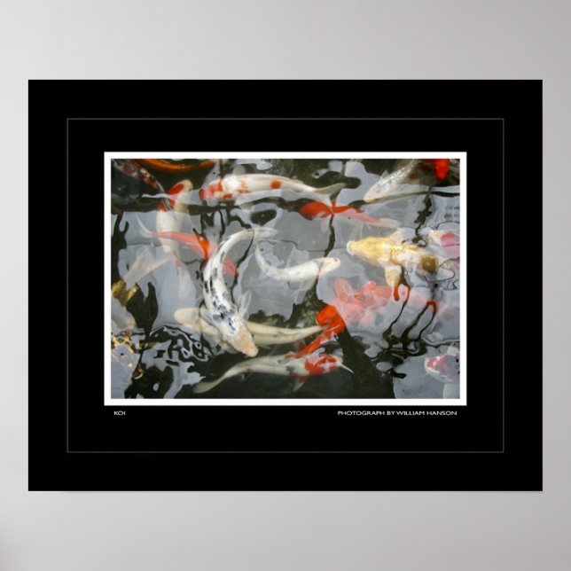 Póster Koi (Frente)