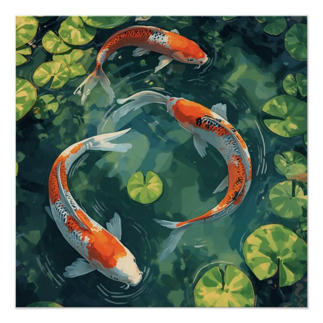 PÓSTER KOI FISCH ANIMALS (Anverso)