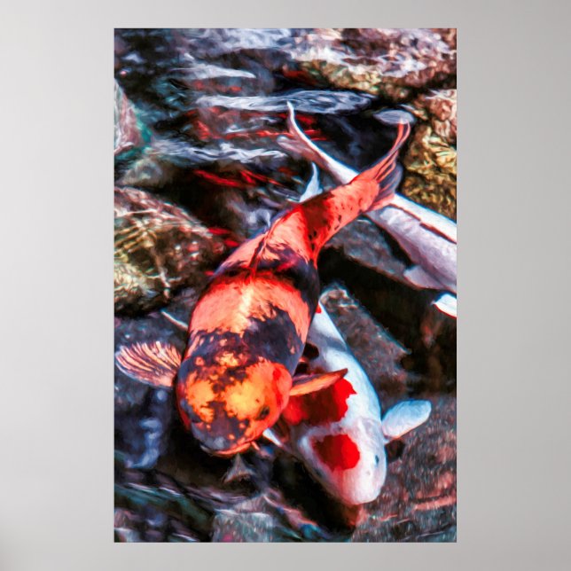 PÓSTER KOI FISH DUET (Frente)