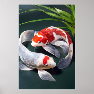 Póster Koi Fish Poster
