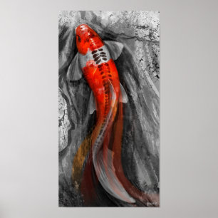 Póster Koi flotante