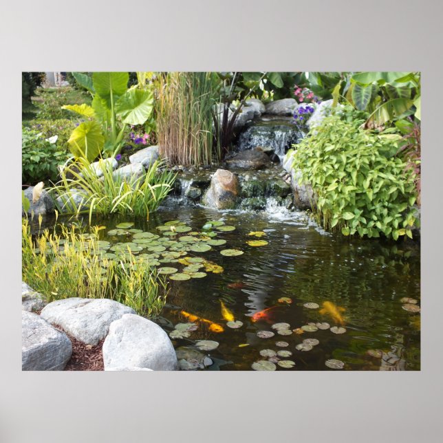 Póster Koi Pond con Poster de cascada (Frente)