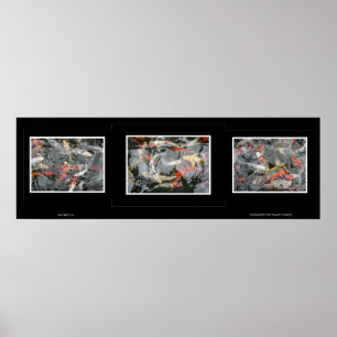 Póster Koi Triptych