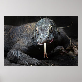 Póster komodo libélula