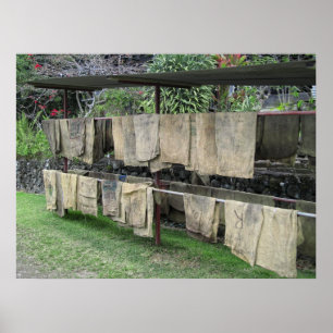 PÓSTER KONA BOLSAS DE CAFÉ SECAS EN RACK - HAWAII