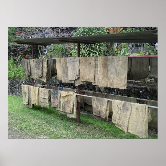 PÓSTER KONA BOLSAS DE CAFÉ SECAS EN RACK - HAWAII (Frente)