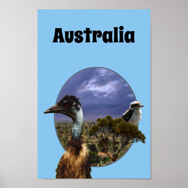 Póster Kookaburra Australiana Y Emu, Poster (Frente)