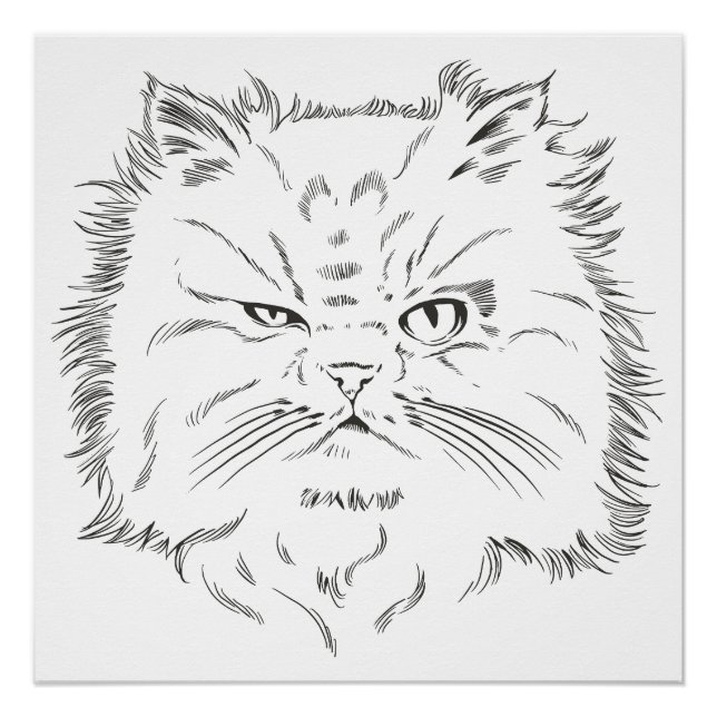 Póster Kopfzeichnung einer Perserkatze (Anverso)