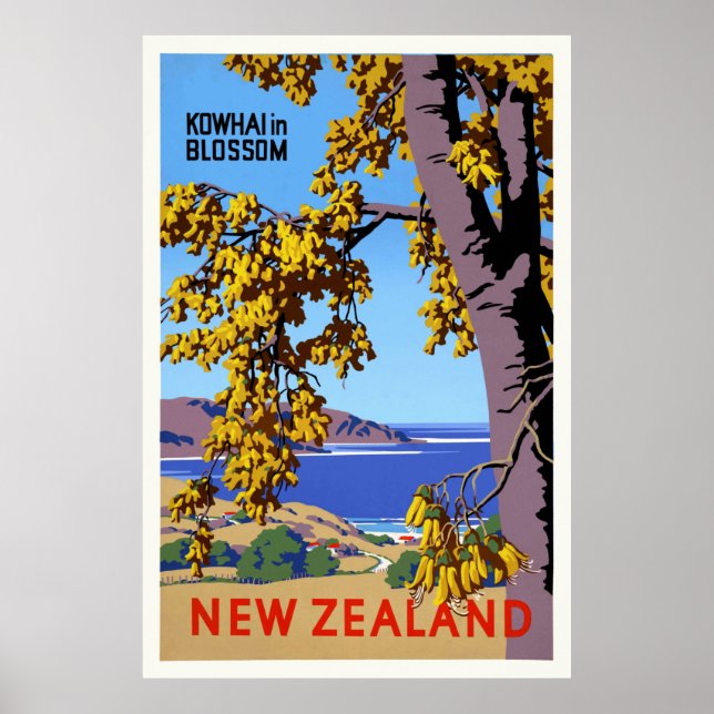 Póster Kowhai en flor afiche de Nueva Zelanda (Frente)