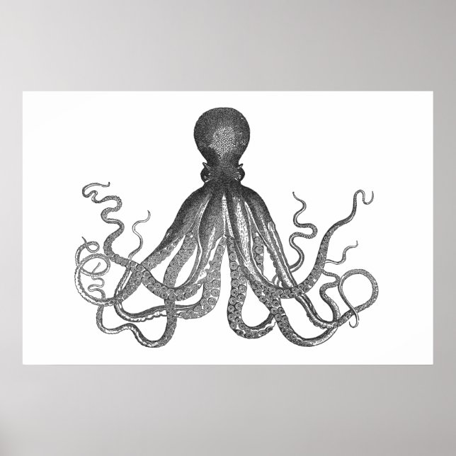 Póster Kraken - Octopus gigante negro / Cthulu (Frente)