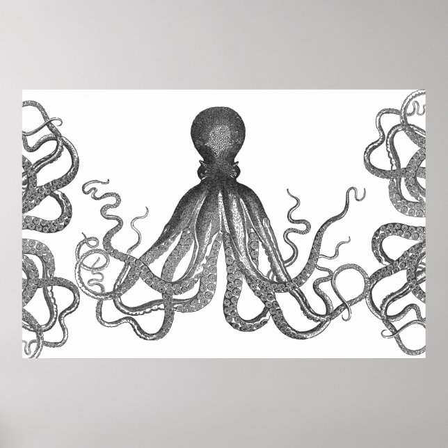 Póster Kraken - Octopus gigante negro / Cthulu (Frente)