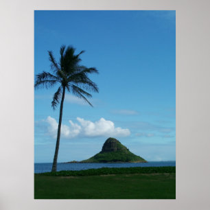 Póster Kualoa 1