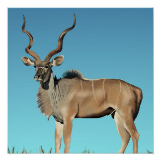 Póster Kudu