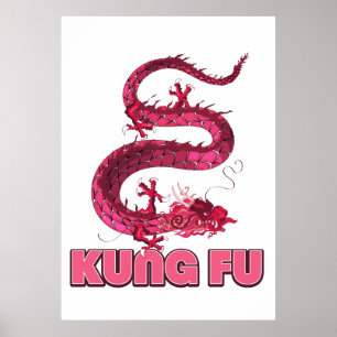 Póster kung fu