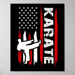 Póster Kung Fu Karate Bandera De Estados Unidos Cinturón