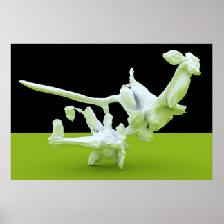 Póster Kung-Fu luchando