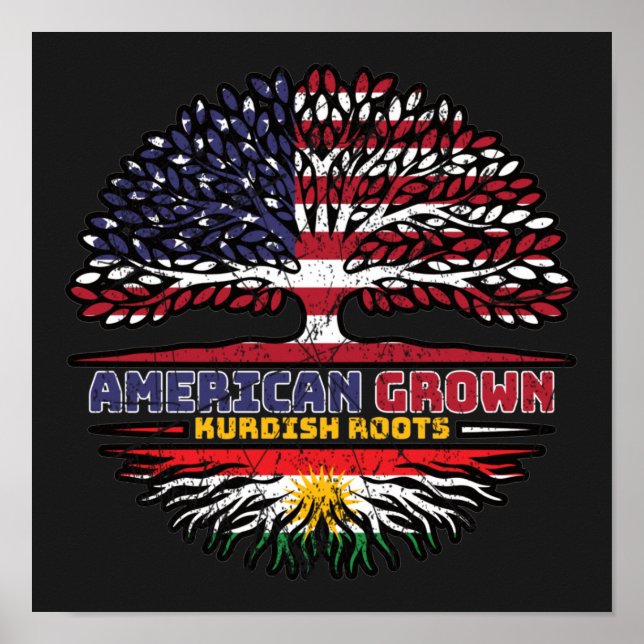Póster Kurdistan Kurdish US American USA United States Tr (Frente)