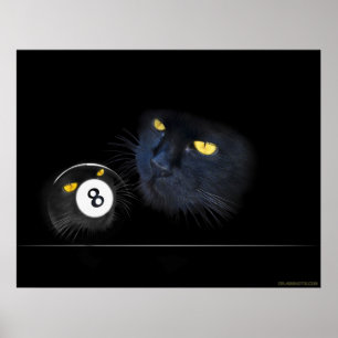 Póster KuriousKat