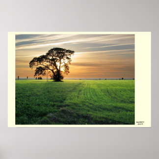 Póster Kurzemes skati