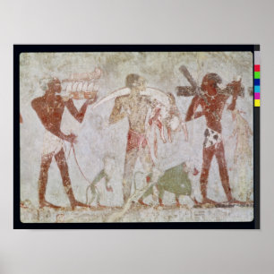 Póster Kushitas llevando homenajes de oro