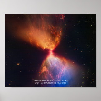 Póster L1527 and Protostar - James Webb Space Telescope