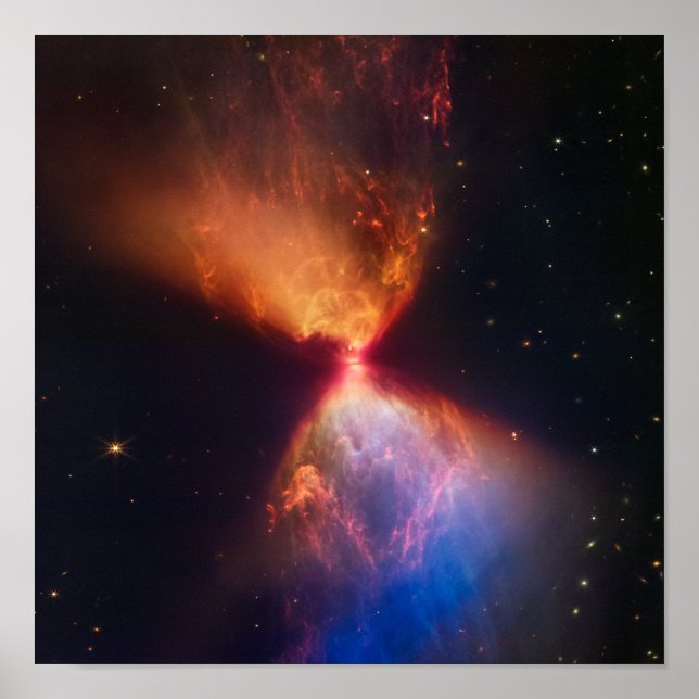 Póster L1527 y Protostar James Webb Telescope (Frente)