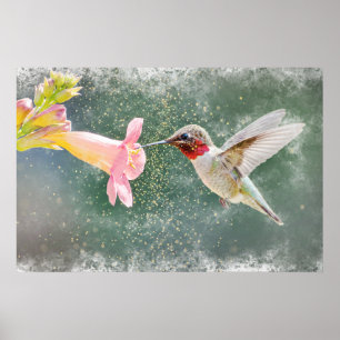 Póster La acuarela del brillo del néctar del colibrí