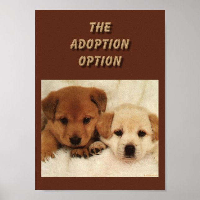 Póster ¿La adopción será su primera opción? (Frente)