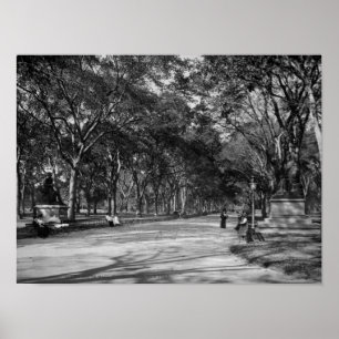 Póster La alameda en Central Park en New York City